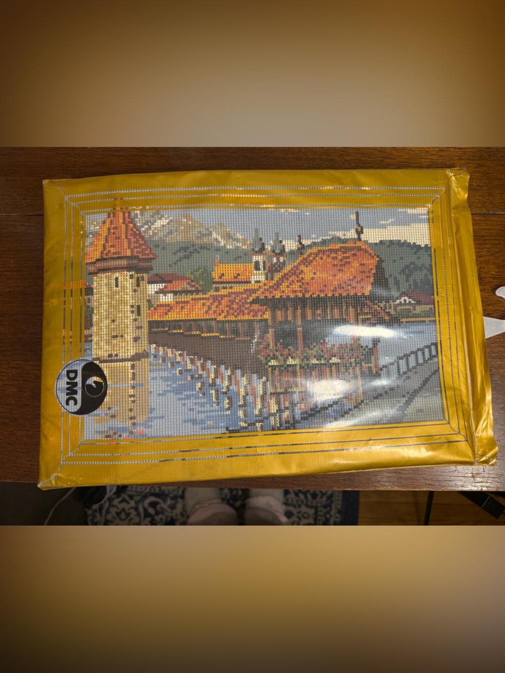 Vintage DMC Needlepoint Tapestry Kit Scenic Riverside Town